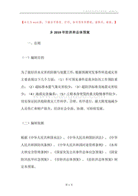 乡2019年防洪和总体预案.docx