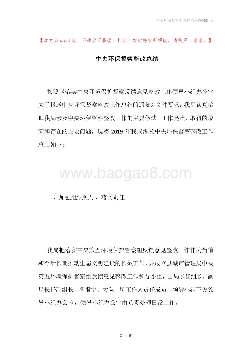 中央环保督察整改总结.docx_第1页