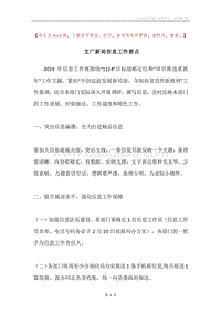文广新局信息工作要点.docx