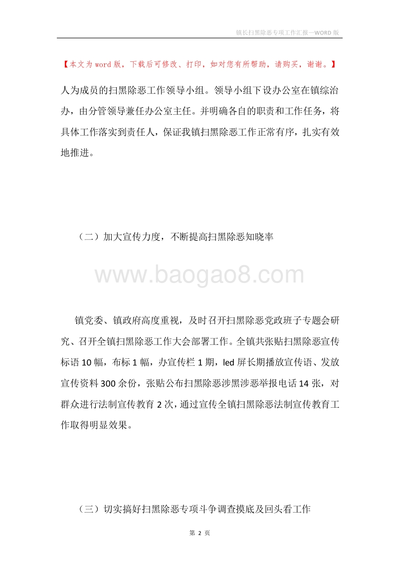 镇长扫黑除恶专项工作汇报.docx_第2页