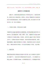 医院审计工作经验交流.docx