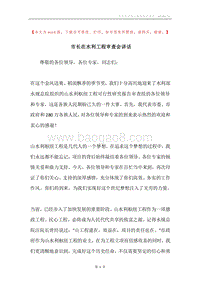 市长在水利工程审查会讲话.docx