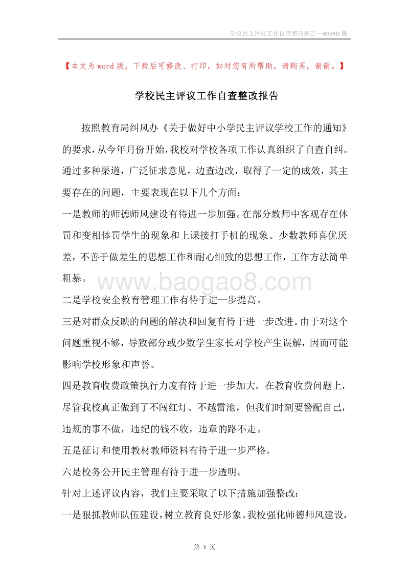 学校民主评议工作自查整改报告.docx_第1页