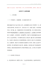 业务员个人述职述廉.docx
