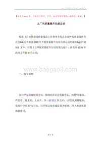 文广局质量提升自查总结.docx