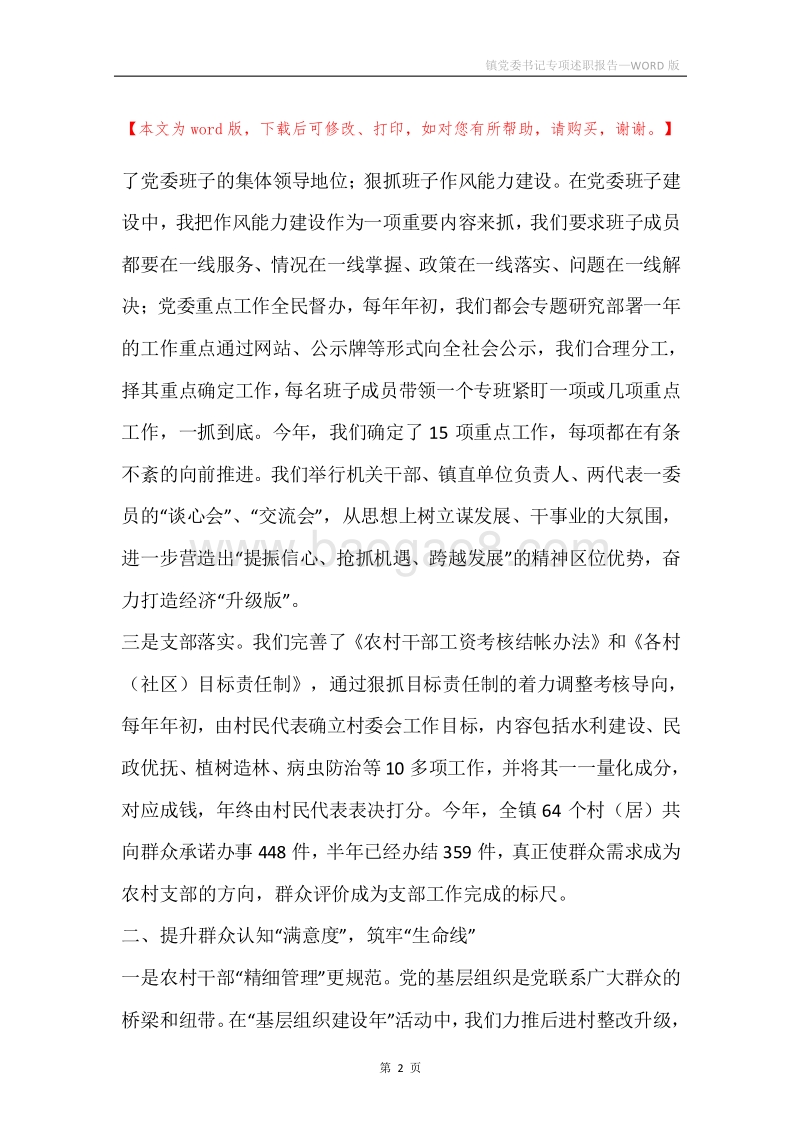 镇党委书记专项述职报告.docx_第2页