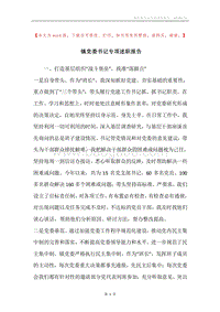 镇党委书记专项述职报告.docx