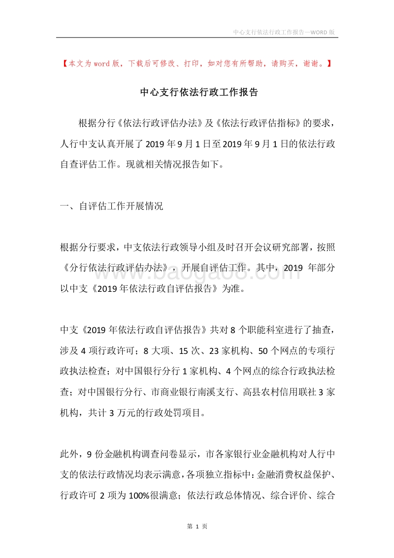 中心支行依法行政工作报告.docx_第1页