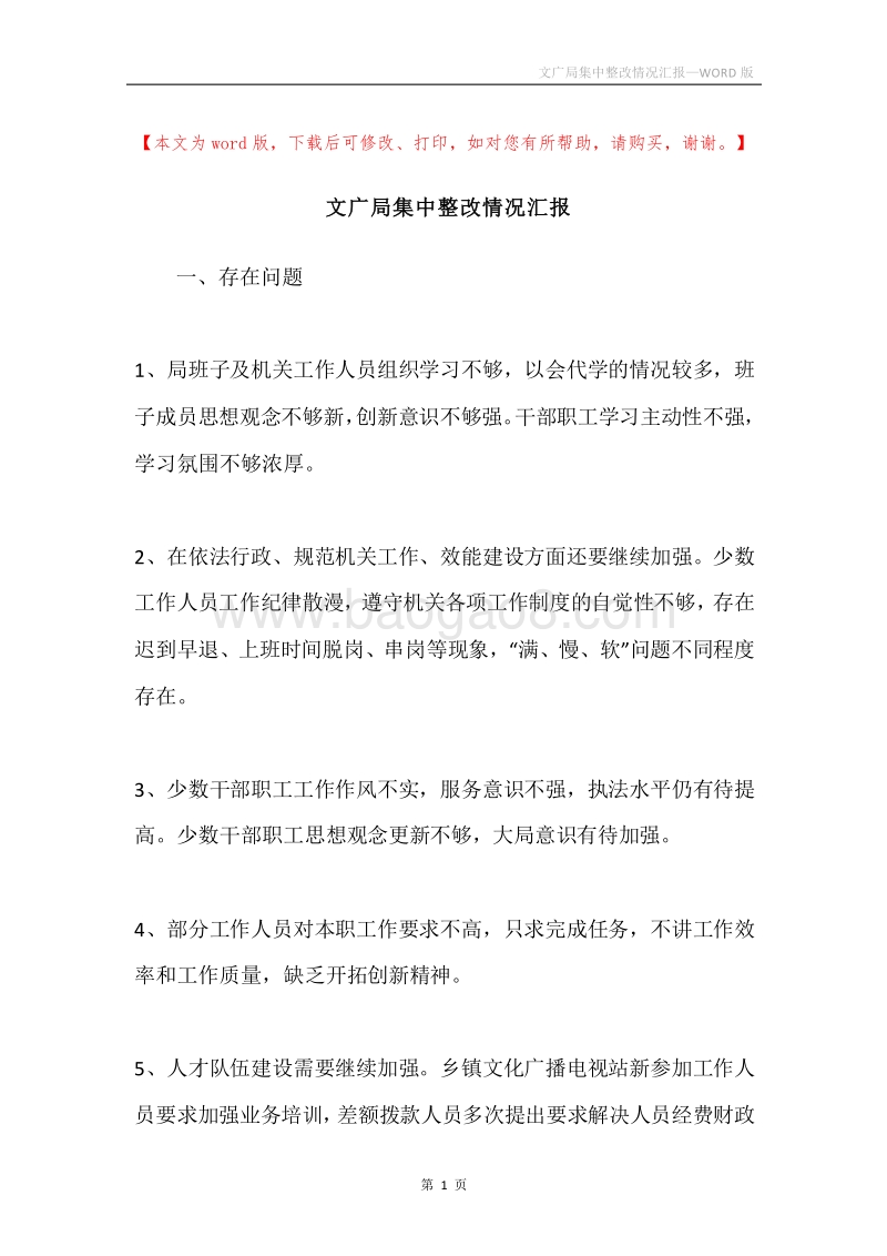 文广局集中整改情况汇报.docx_第1页