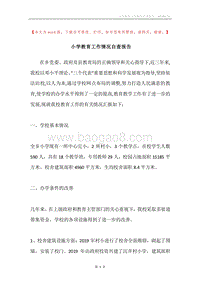小学教育工作情况自查报告.docx