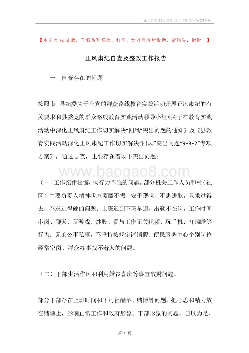 正风肃纪自查及整改工作报告.docx_第1页