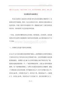 文化馆全年总结范文.docx