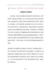 乡镇提质年治理措施.docx