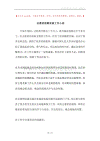 志愿者假期实践工作小结.docx