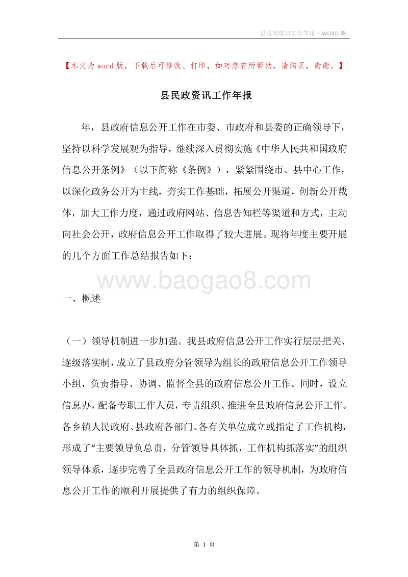 县民政资讯工作年报.docx_第1页