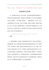县民政资讯工作年报.docx