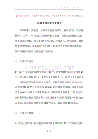 招商系统招商引资报告.docx
