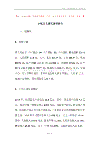 乡镇三农情况调研报告.docx