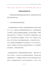 乡镇财政监督调查汇报.docx