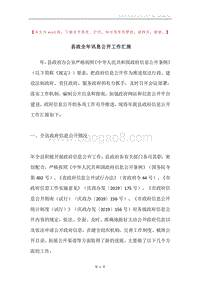 县政全年讯息公开工作汇报.docx