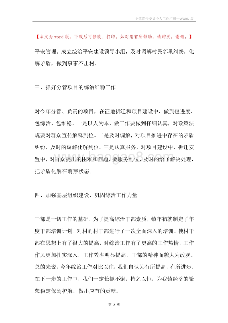 乡镇宣传委员个人工作汇报.docx_第2页
