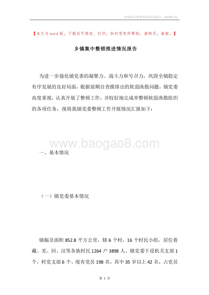乡镇集中整顿推进情况报告.docx_第1页