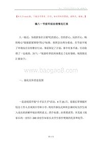 镇八一节前环综治理情况汇报.docx