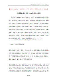 小额贷款股份公司2019年度工作总结.docx