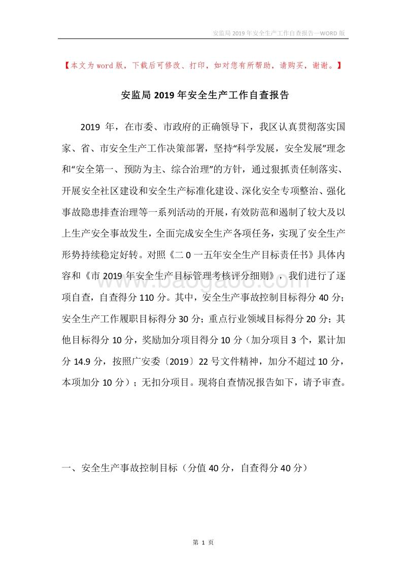 安监局2019年安全生产工作自查报告.docx_第1页