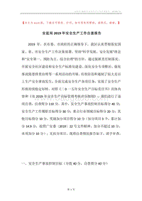 安监局2019年安全生产工作自查报告.docx