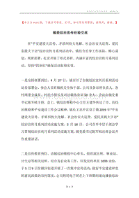 镇委综治宣传经验交流.docx