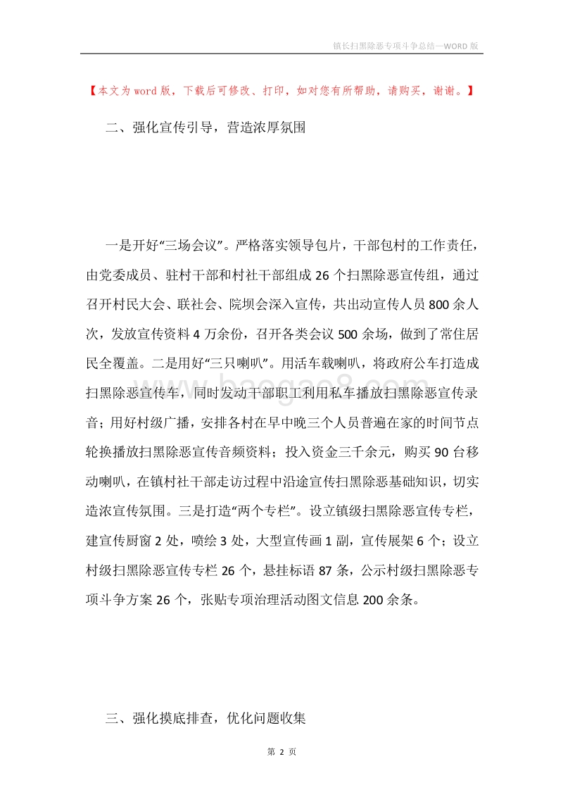 镇长扫黑除恶专项斗争总结.docx_第2页