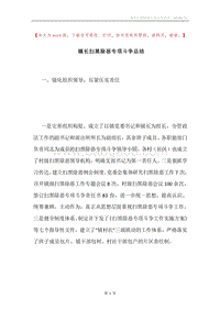 镇长扫黑除恶专项斗争总结.docx