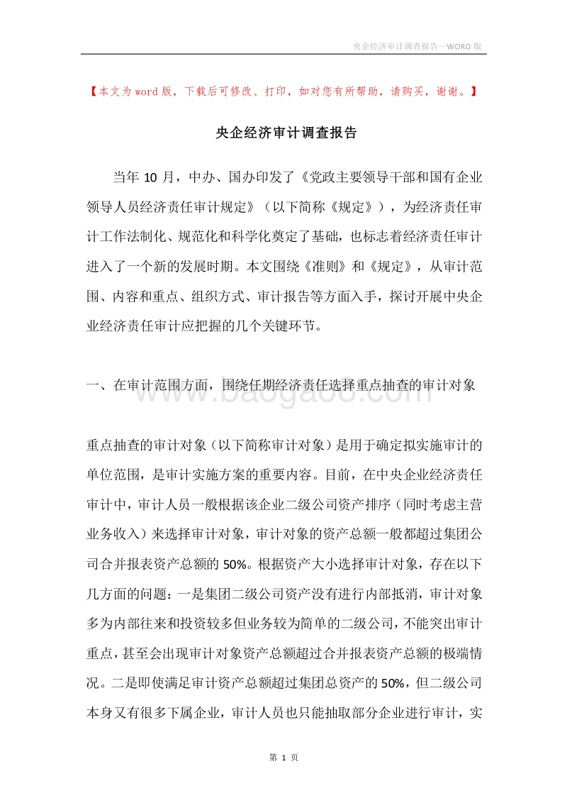 央企经济审计调查报告.docx_第1页