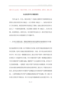 央企经济审计调查报告.docx