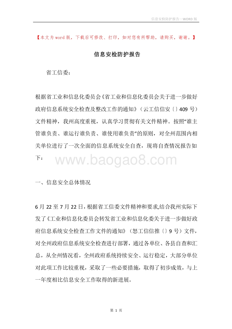 信息安检防护报告.docx_第1页