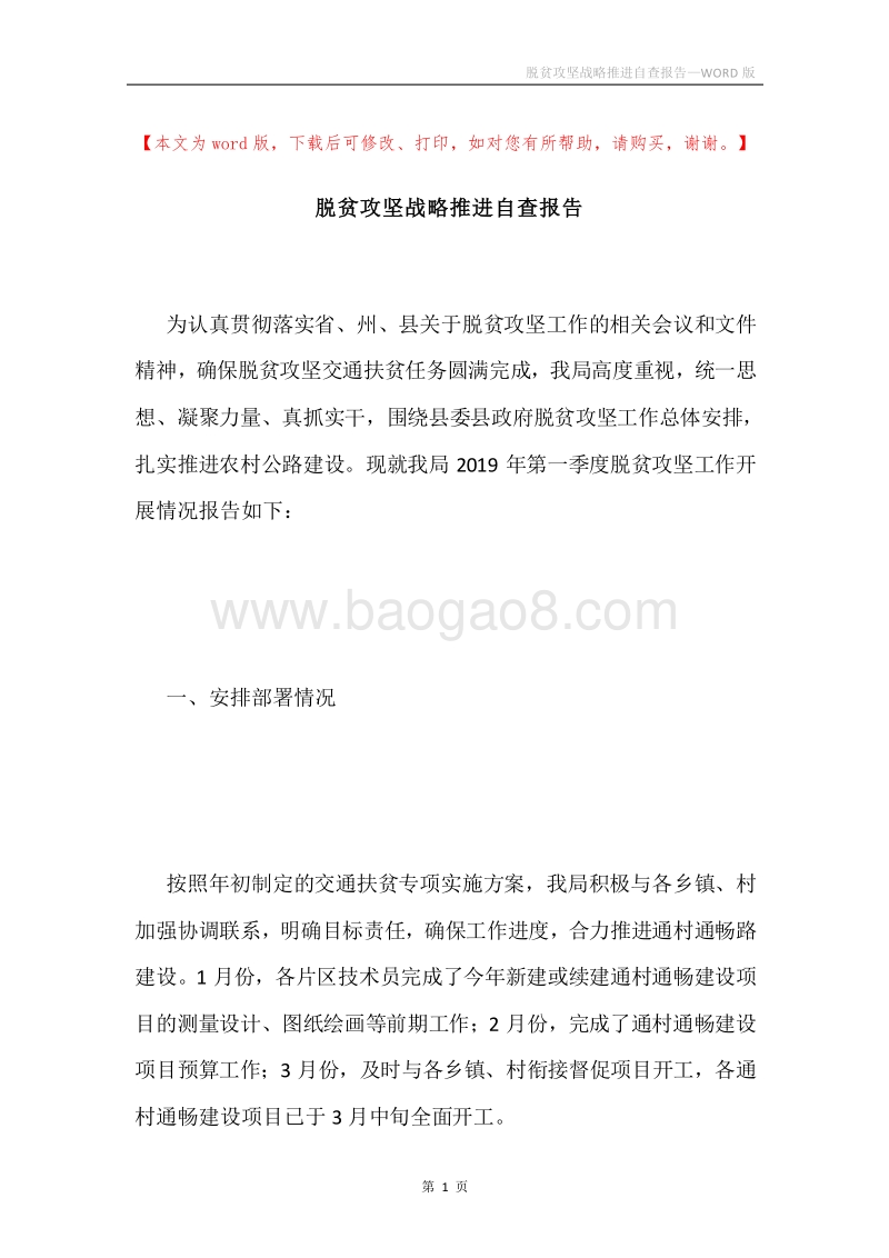 脱贫攻坚战略推进自查报告.docx_第1页