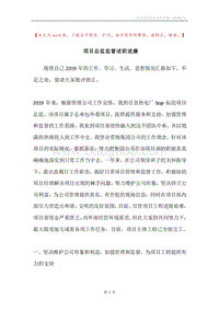 项目总监监督述职述廉.docx