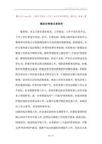 镇综治维稳自查剖析.docx