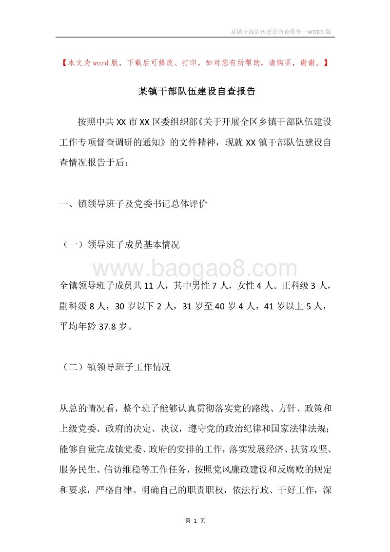 某镇干部队伍建设自查报告.docx_第1页