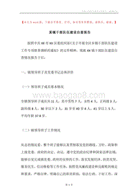 某镇干部队伍建设自查报告.docx