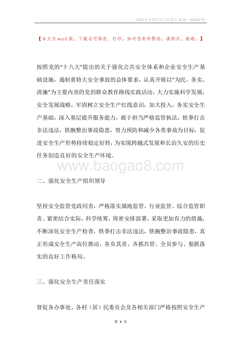 2019年乡镇专项工作要点10篇.docx_第4页