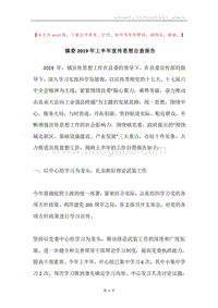 镇委2019年上半年宣传思想自查报告.docx