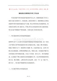 镇旅游业发展情况年终工作总结.docx