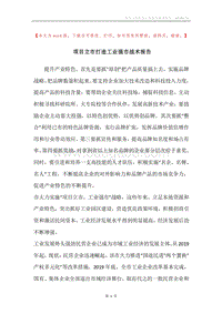 项目立市打造工业强市战术报告.docx