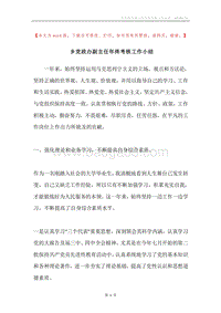 乡党政办副主任年终考核工作小结.docx