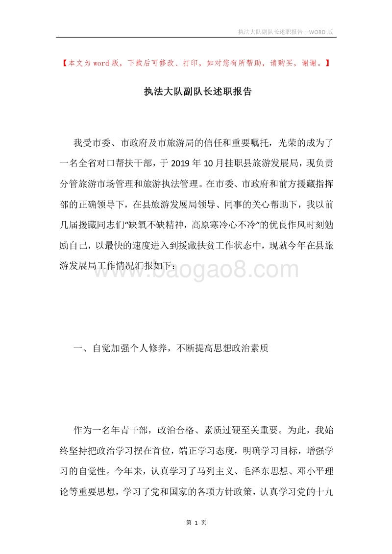 执法大队副队长述职报告.docx_第1页