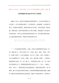 县环境保护局2019年半年工作报告.docx