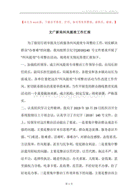 文广新局纠风提效工作汇报.docx