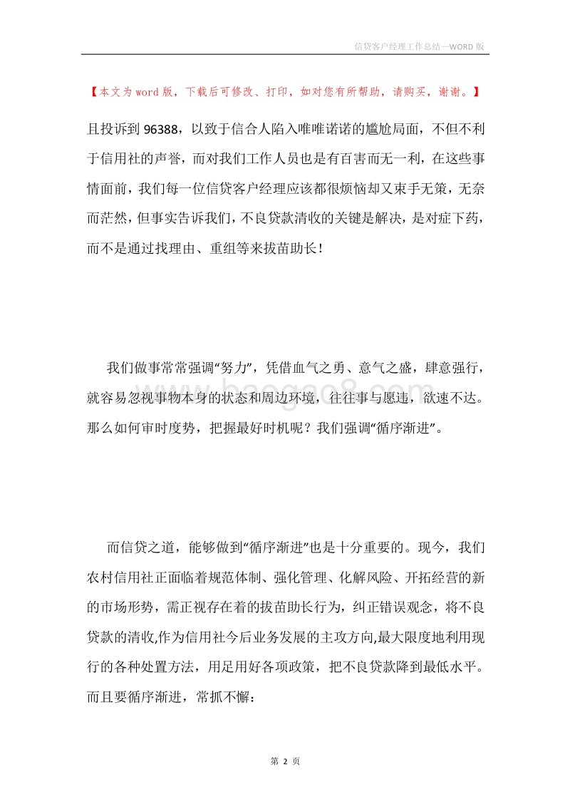 信贷客户经理工作总结.docx_第2页